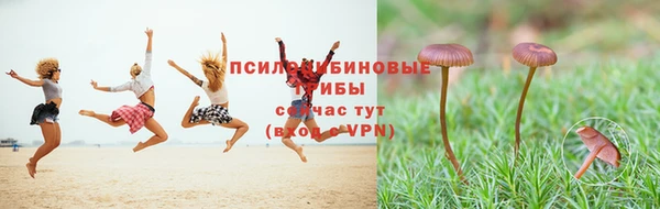 прущая мука Баксан