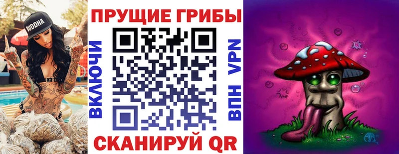 Псилоцибиновые грибы Magic Shrooms  как найти   Черняховск 